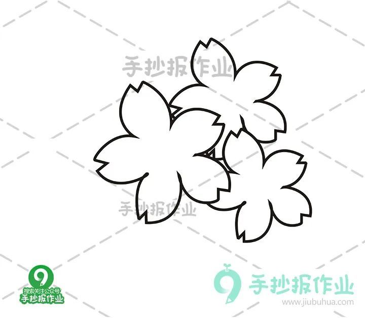 春天樱花简笔画 油菜花简笔画合集,美好春日,与樱花,油菜花来个约会!