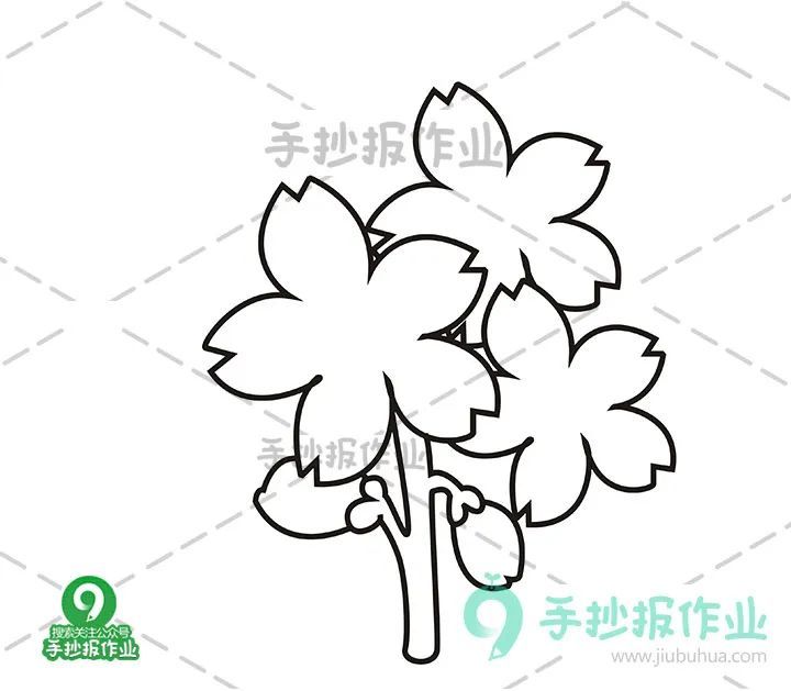 春天樱花简笔画 油菜花简笔画合集,美好春日,与樱花,油菜花来个约会!