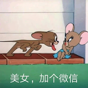 696969696969696969696969这样你开心了吗