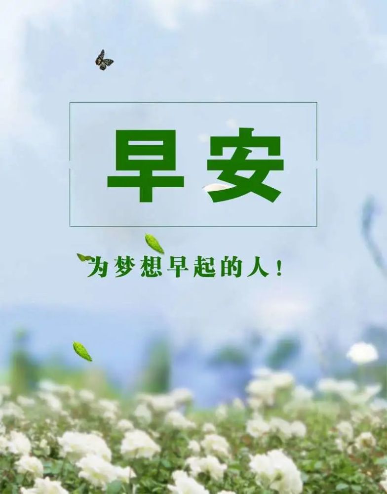 2020新款早安分享,2020新款早安图片 2020年第98期:早安朋友圈,经典美文正能量分享句子