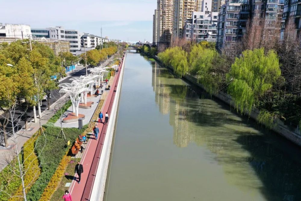 今天我们就来看看 静安区的河道吧 静安区河道春景之西泗塘篇 疫去春