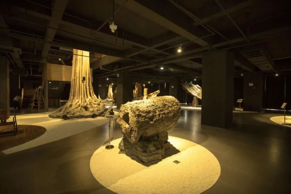 来上海木文化博物馆观奇珍异木,赏名家大作