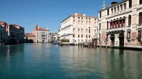 人类隔离才几天，河水清了，空气好了，动物回来了