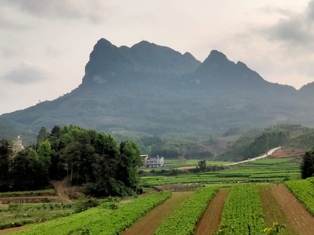 广西宜州区多灵山东麓,老爷坟村的来历