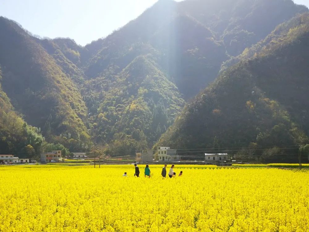 春到旬阳水泉坪
