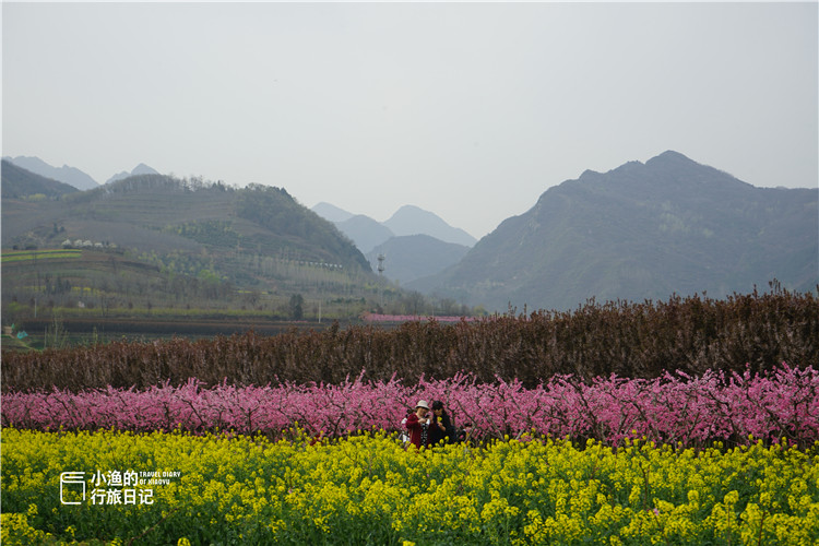 自驾秦岭环山路,这才是西安人最该去的赏花地!停车门票全免费