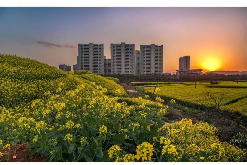 在这春回大地的日子里 外出游玩的人们 徜徉在春日美景的同时 不时按