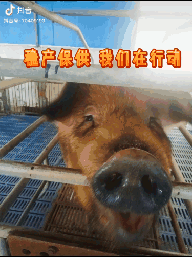 活动仅开展2周,在抖音上,以