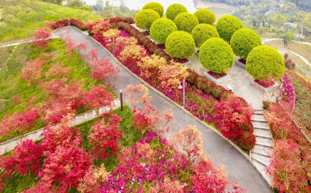 南湖多彩植物园还设有 登山步道, 公园环道