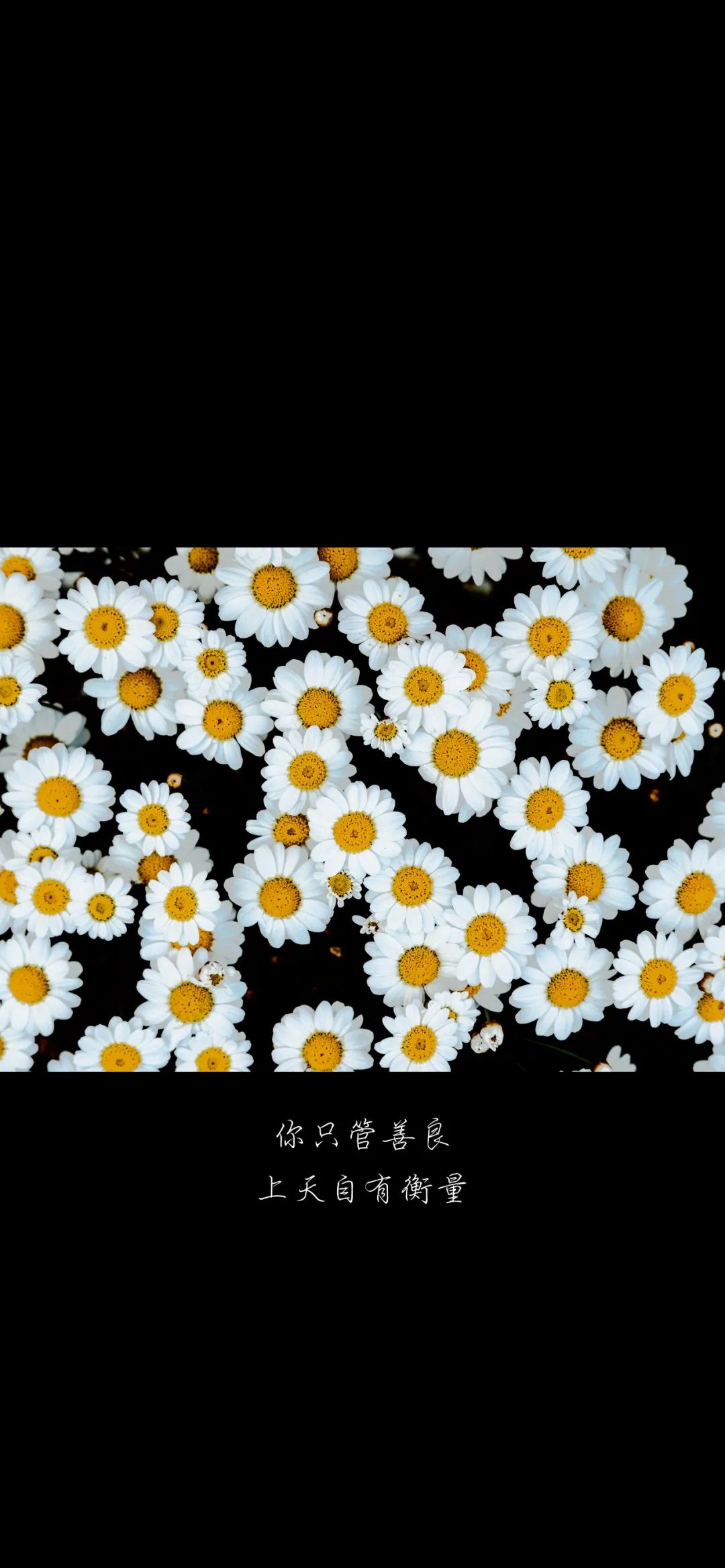 黑色背景 个性壁纸锁屏