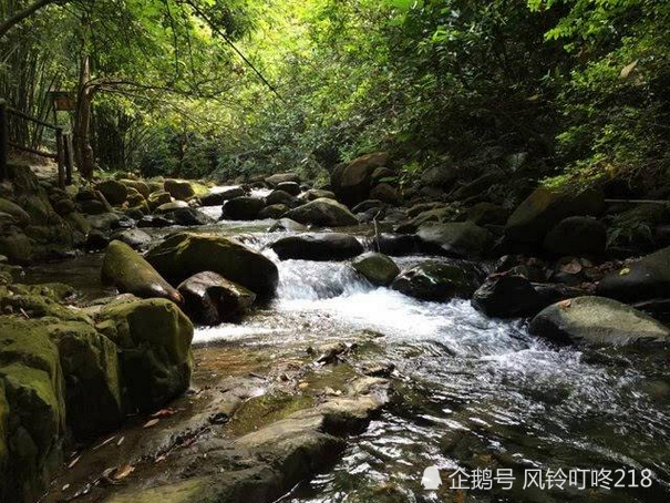 出句:柳梢头上娟娟月 [盈盈] 对句:山谷石间细细泉 [风铃叮咚]今音