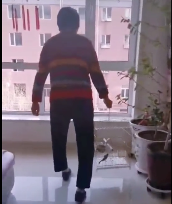 两岁宝宝走路摇晃,还弯腰屈膝,吓坏妈妈,去了奶奶家真相大白