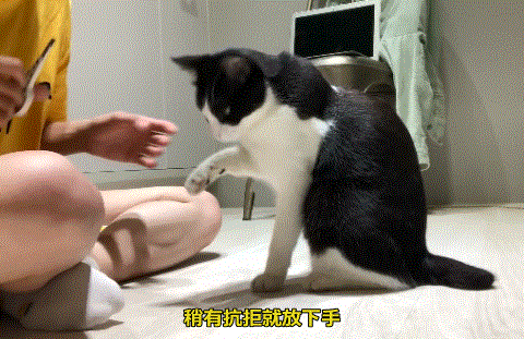 看点快报