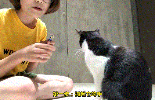 帮猫咪剪指甲真的不用打硬仗!