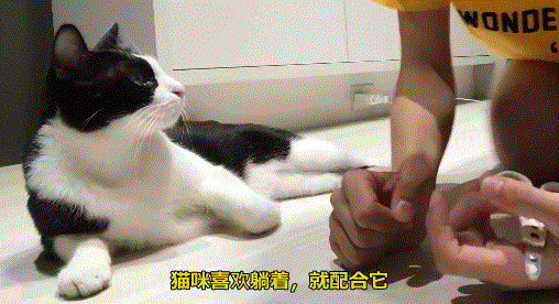看点快报