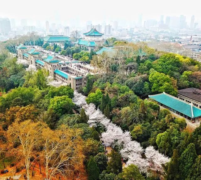 武汉,木兰山风景区,樱花,黄鹤楼,热干面,武汉大学