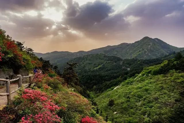 武汉,木兰山风景区,樱花,黄鹤楼,热干面,武汉大学