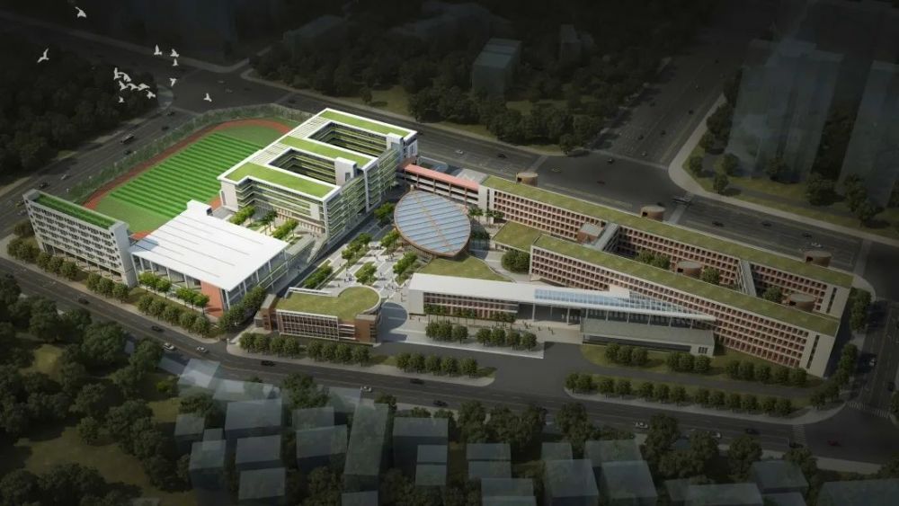 深圳多区新改扩建多所学校,又一高中园具体选址公布
