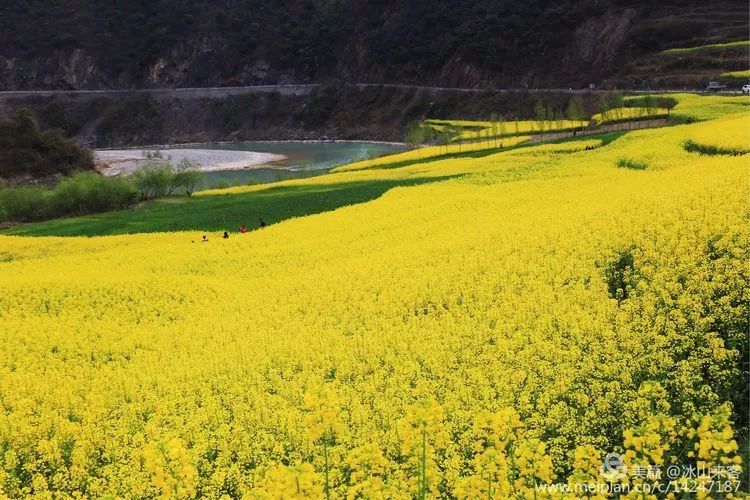 汉中略阳最美油菜花海