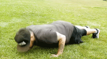 壁纸 动物 狗 狗狗 363_202 gif 动态图 动图
