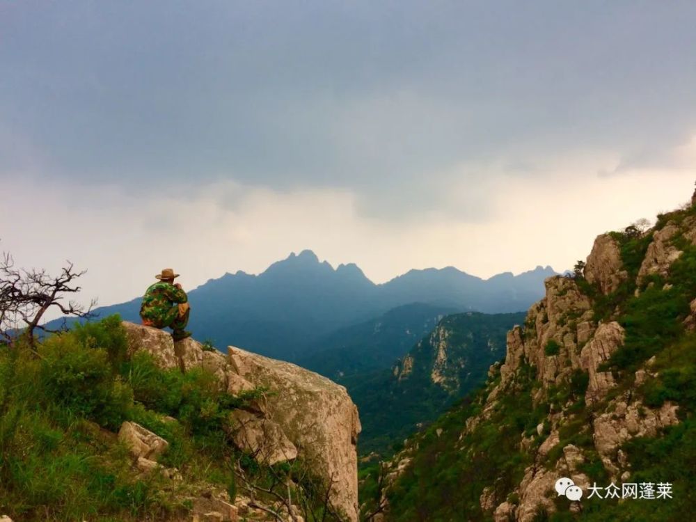 蓬莱市,艾山,自然保护区,大山