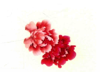 国画写意牡丹《舞春风》画法步骤