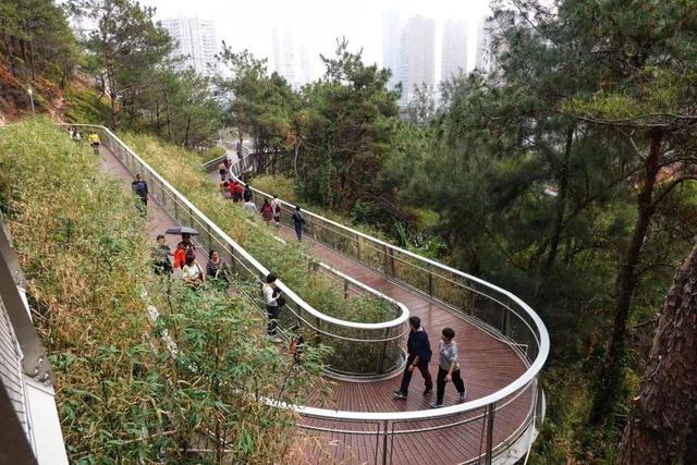 福建厦门的山海健身步道,全程23公里架在空中,美女网红都在打卡