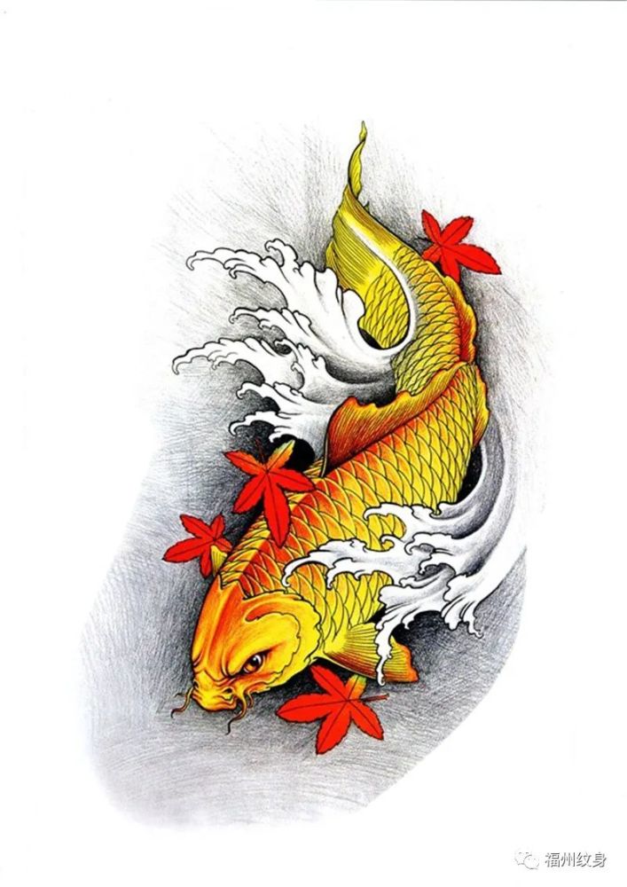 鲤鱼纹身有吉祥的寓意!