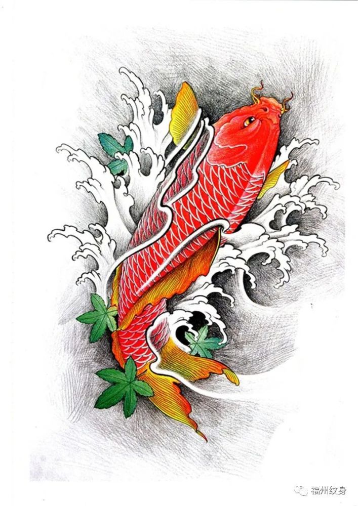 鲤鱼纹身有吉祥的寓意!还因为鲤鱼跃龙门,给锦鲤添加!