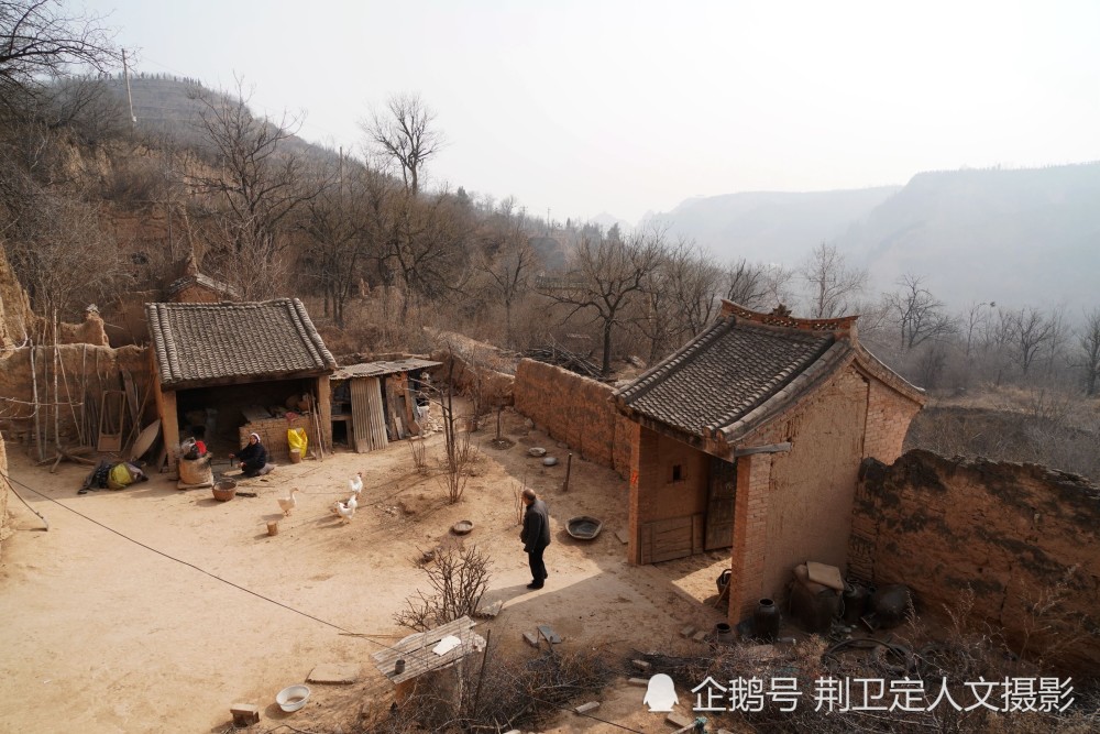 山西晋南农村,黄河岸边,小黄狗,土鸡蛋,土窑洞