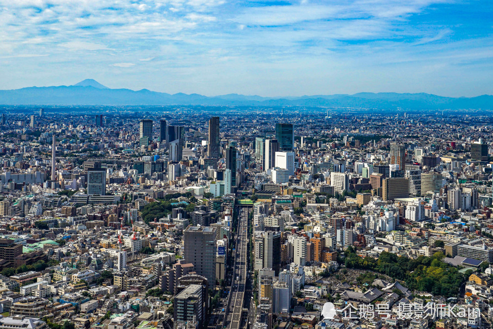 高空视角下的日本东京,高层建筑不多,游客说像二线城市