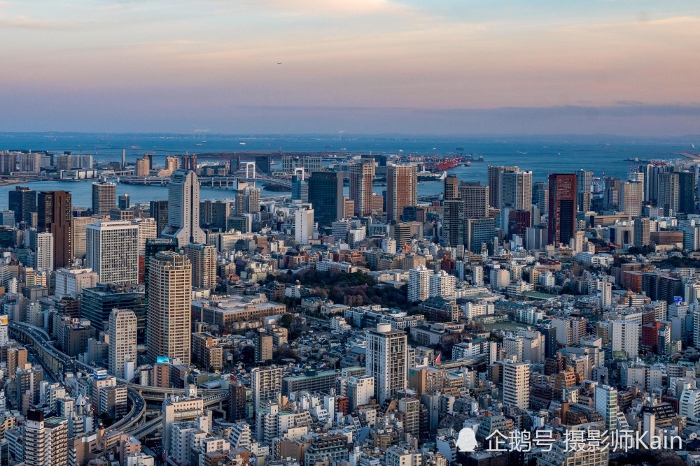 高空视角下的日本东京,高层建筑不多,游客说像二线城市