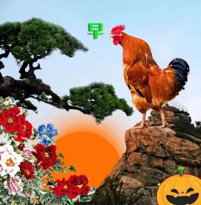 早上安康,我的朋友!