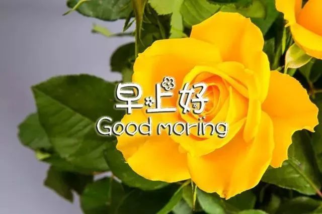 早上安康,我的朋友!