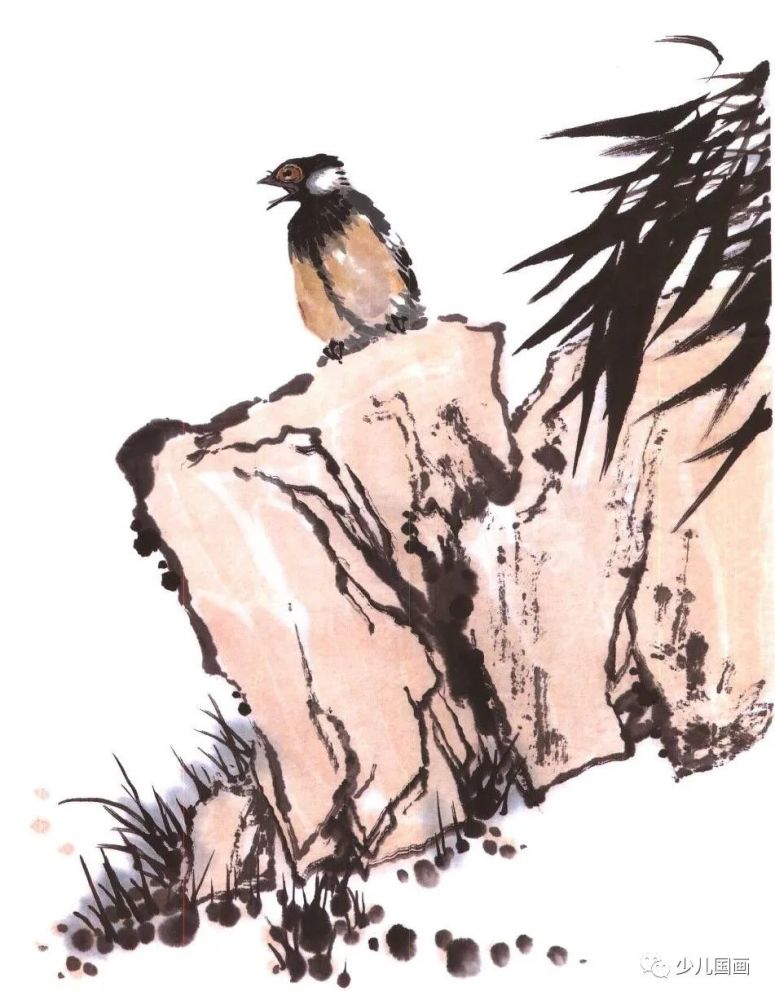 国画动物画法白脸山雀画法
