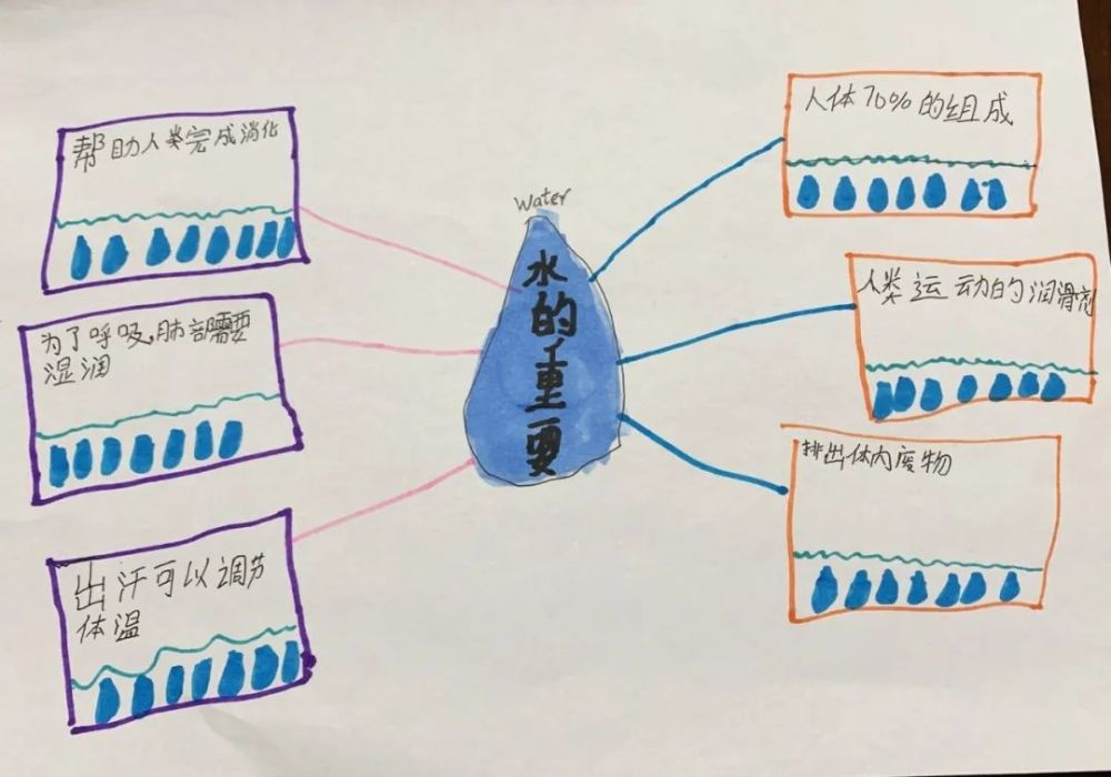 看完第一集之后,我和潼潼通过画思维导图,对水的重要性做了总结.