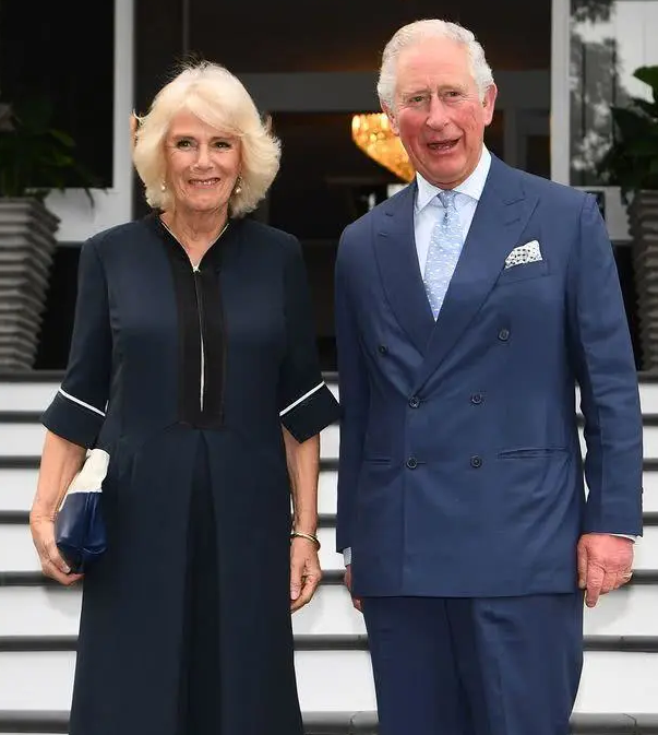 英国查尔斯王子不幸感染新冠肺炎