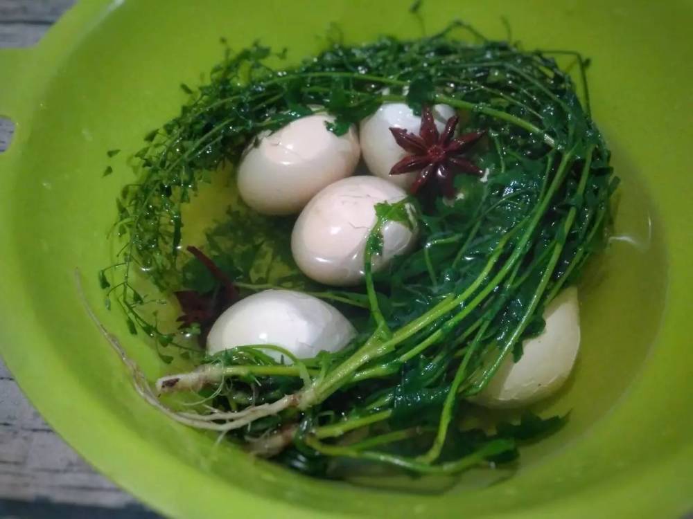煮鸡蛋,荠菜,鸡蛋