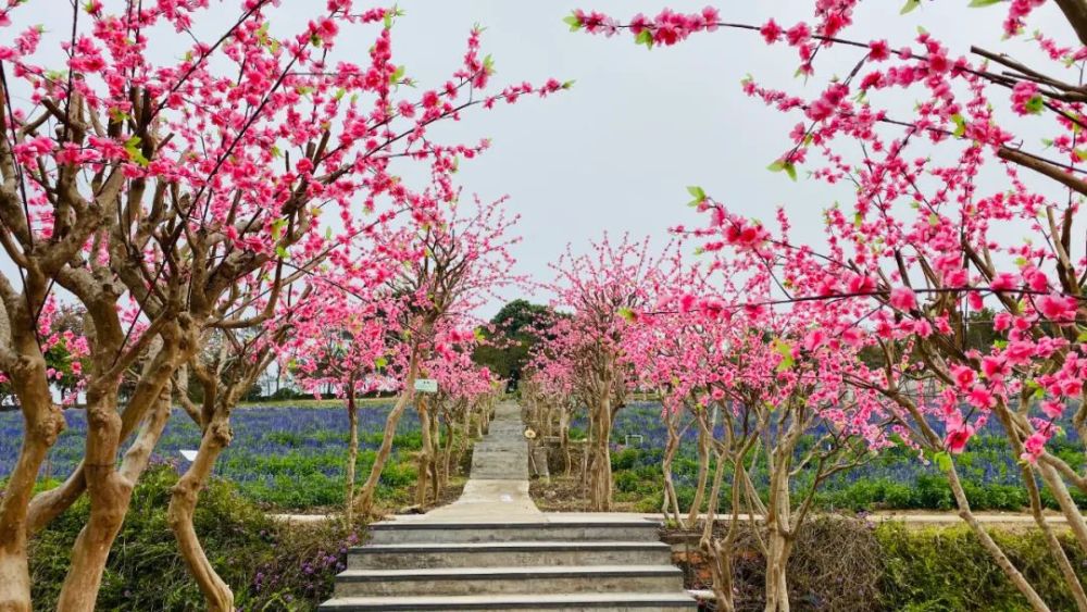 永记生态园,旅游景区,惠东