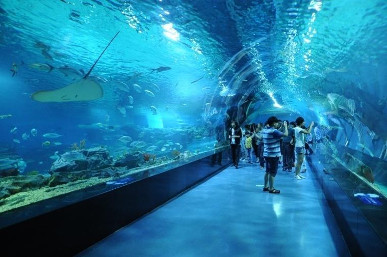 武汉著名海洋馆有哪些?亲子游去哪个海洋馆好呢?有你熟悉的吗?