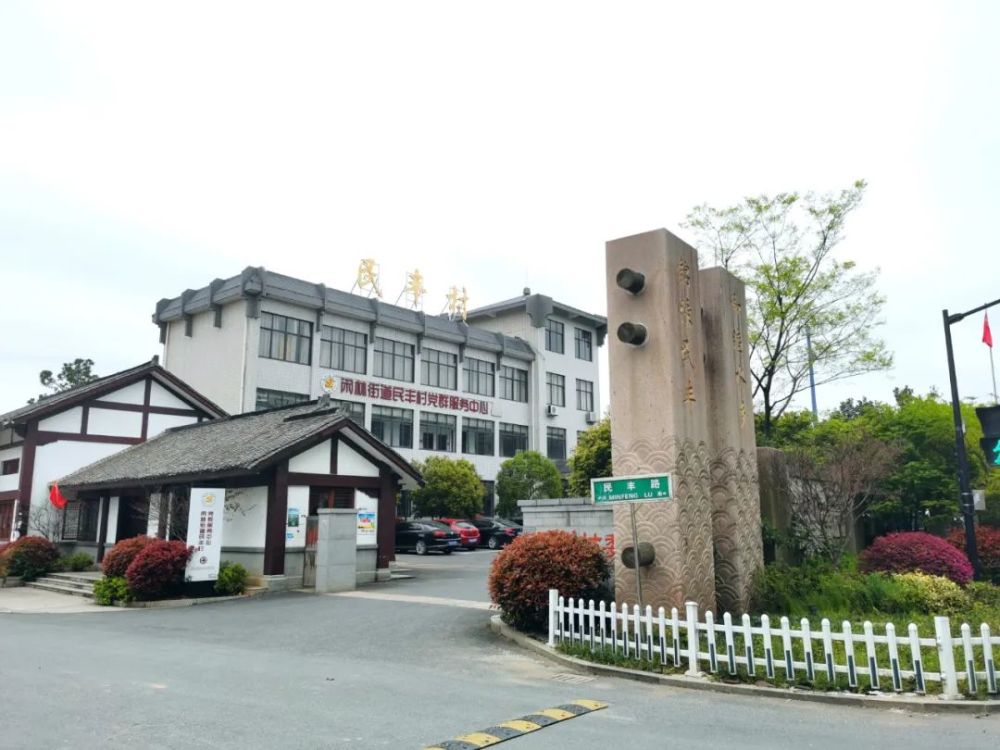 闲林街道民丰村