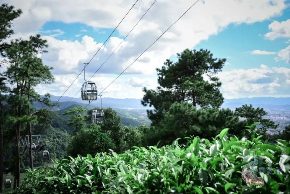 茶马古道,普洱市,普洱茶,旅游景区,古道,索道