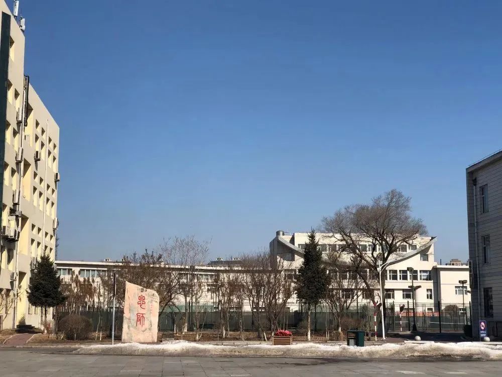 东北师范大学,张继东,孙淼,宋永忠,杜冠星,长春中医药大学,青松,长春