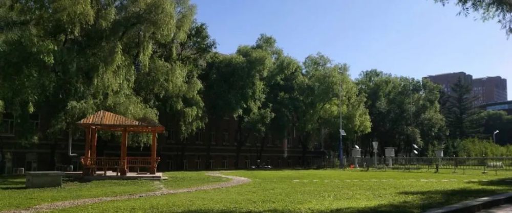校园,吉林财经大学,东北师范大学,张继东,孙淼,宋永忠,杜冠星,长春