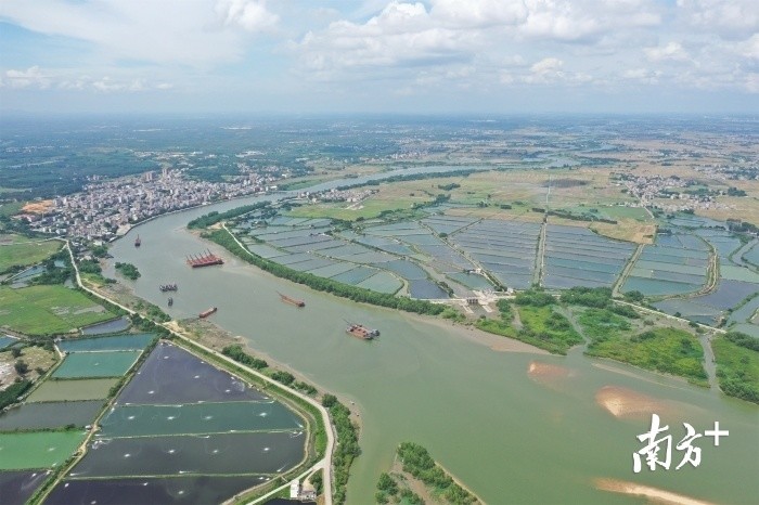 湛江廉江:河长制系统治水 九洲江鱼翔浅底