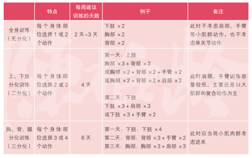 健身房,训练计划,深蹲,胸部,下肢