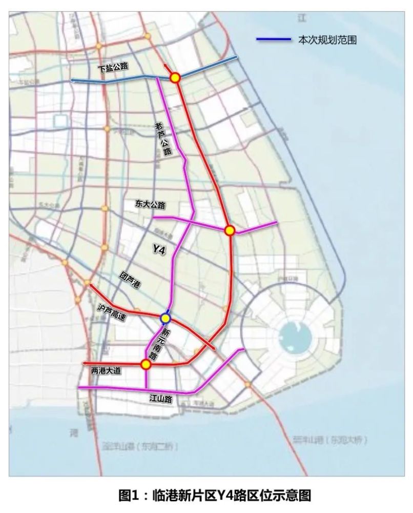 主干路,临港,临港新片区,沪芦高速,团芦港