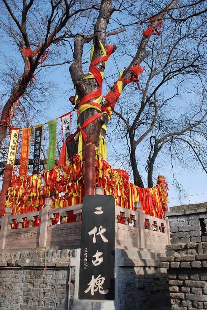 洪洞大槐树老家邀请山西老乡回家!