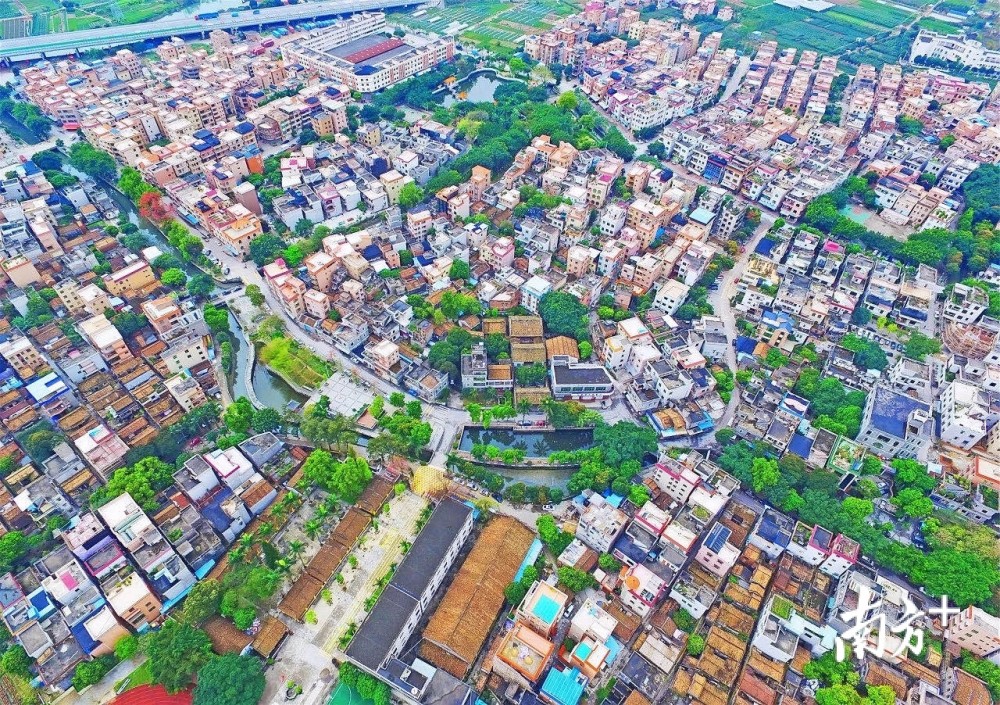 陈村镇,顺德区,仙涌村,何永坚