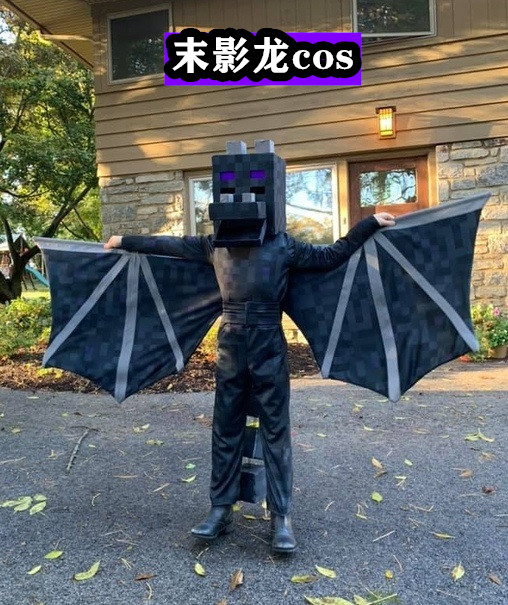 2.末影龙cos